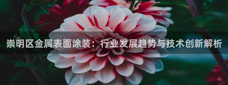 美高梅净利润
