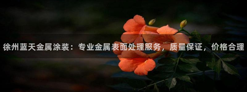 美高梅股票中国净资产多少