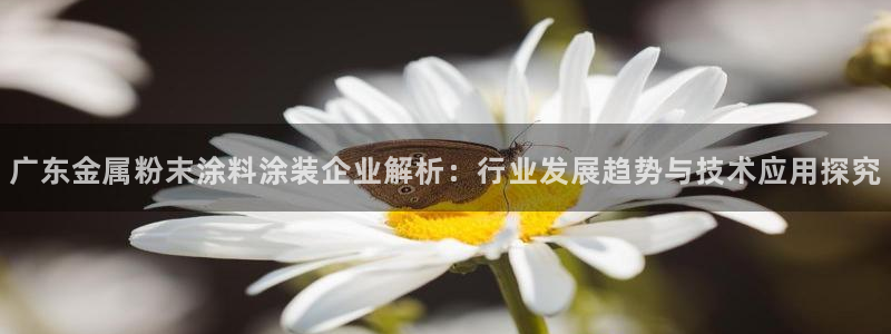 美高梅会员卡等级 金额