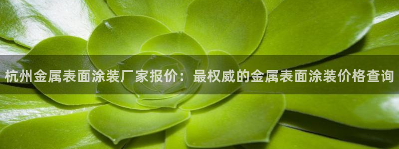 美高梅属于什么集团