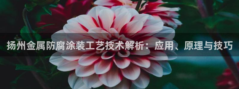 美高梅酒店里的矿泉水免费吗