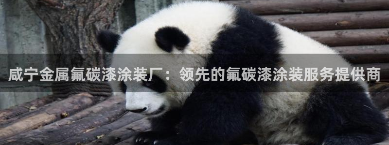 美高梅中国何超琼
