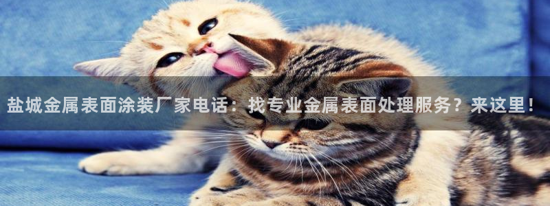 美高梅官方游戏网安卓版