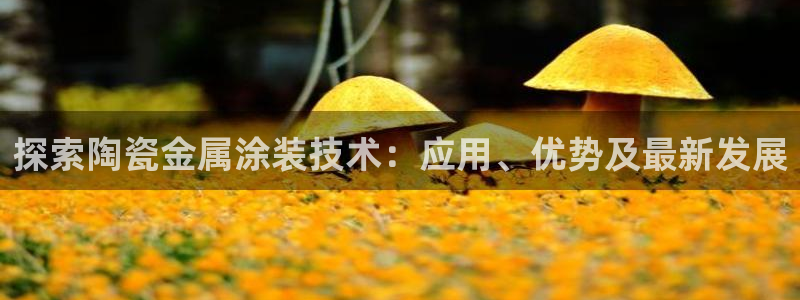 美国美高梅集团市值