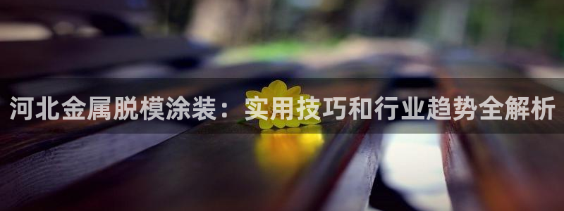 美高梅空气炸锅怎么样