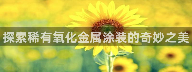 美狮美高梅酒店环境