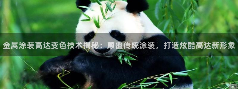 美高梅会员卡级别
