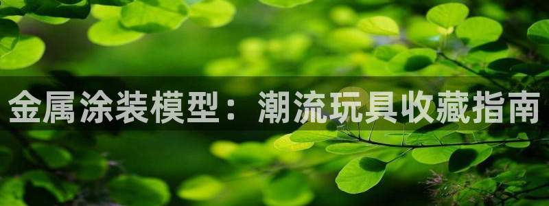 美高梅酒店匹配凯悦
