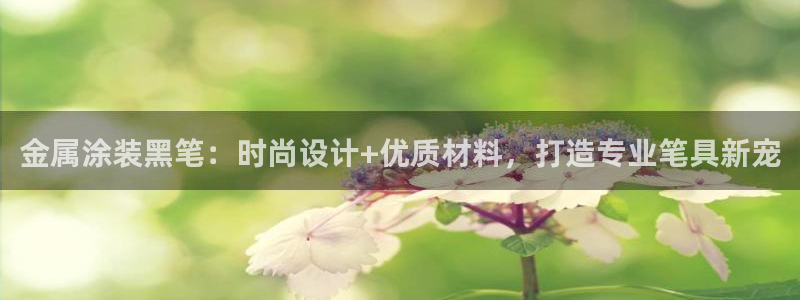 美高梅公司旗下有哪些公司