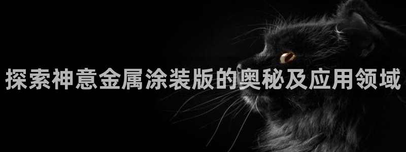 美高梅酒店在三亚哪个区