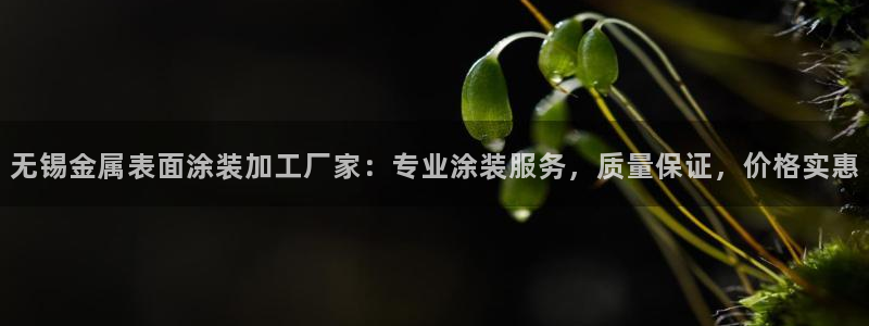 美高梅全球几家