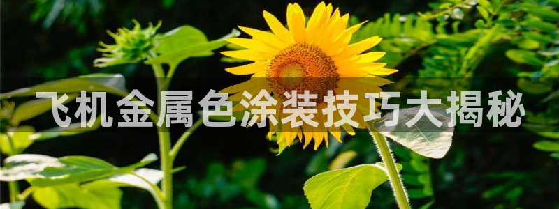 美高梅图标