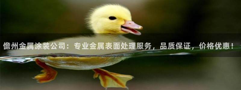 美高梅自助年卡