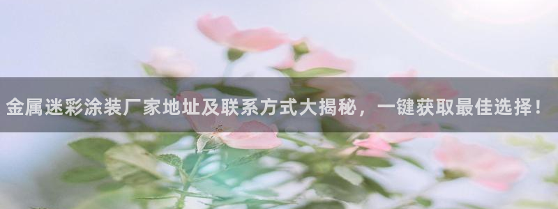 美高梅国际集团简介