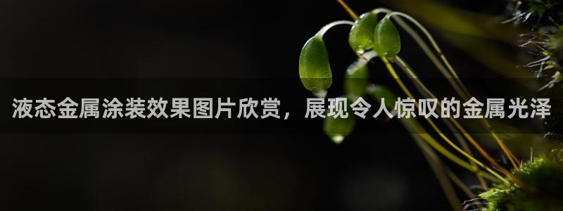 美高梅的老板是谁?