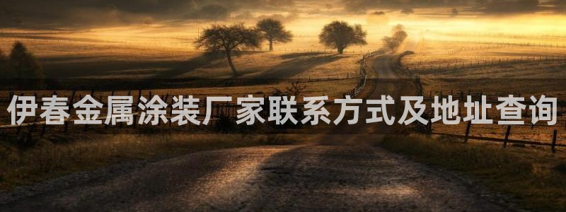 美高梅酒店档次