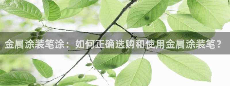 美高梅老板叫什么