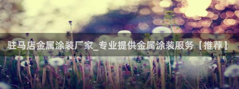 美高梅拉斯维加斯大酒店