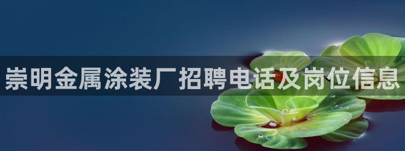 美高梅下午茶