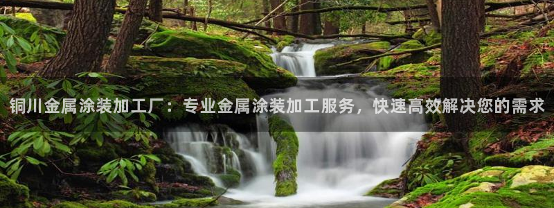 美高梅会员卡