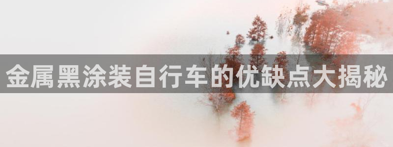 美高梅哪个集团的