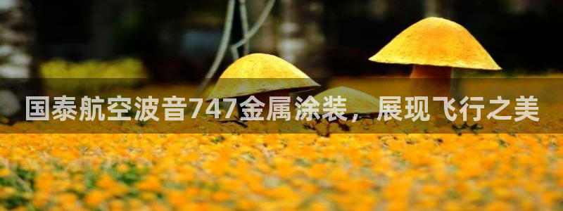 美高梅大酒店