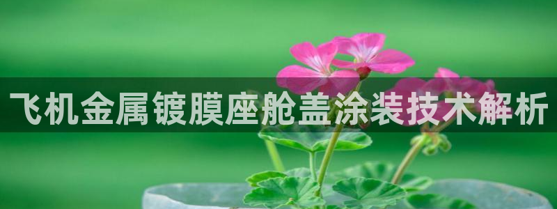 美高梅酒店logo图片高清