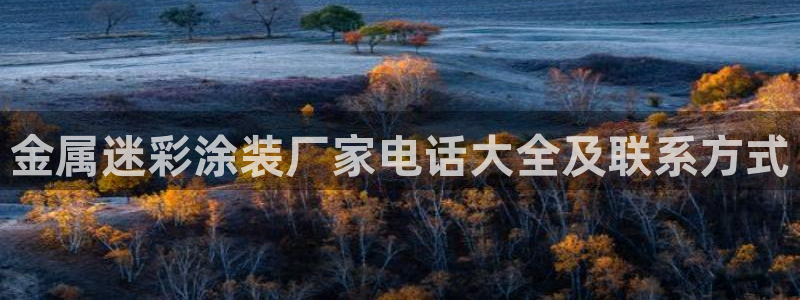 美高梅枪击案