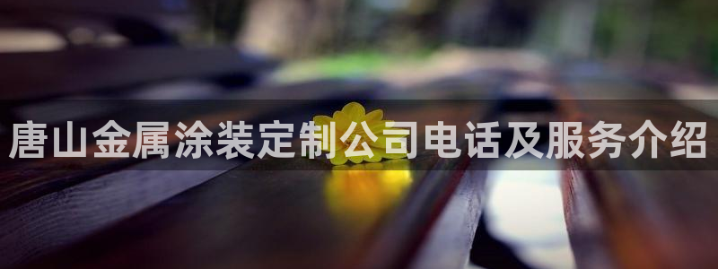 美高梅偶遇何超琼