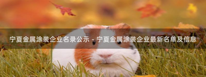 美高梅酒店多少层楼高