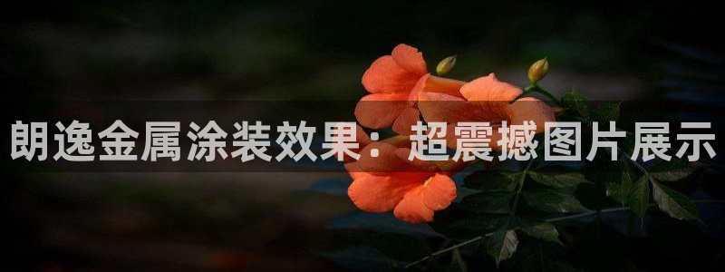 美高梅客服联系方法