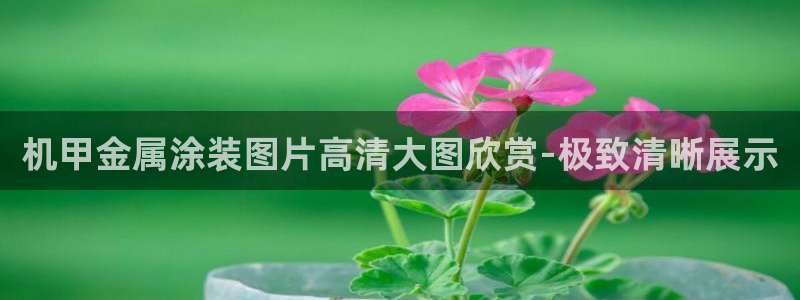 美高梅是干什么的