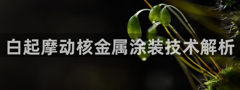 美高梅会员卡有啥用