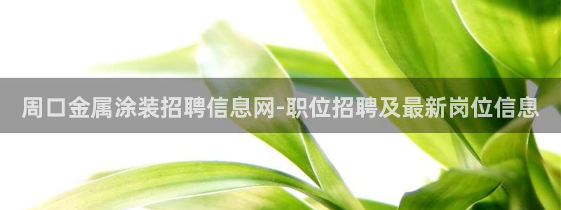 美高梅酒店品牌介绍