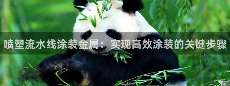 美高梅大酒店招聘