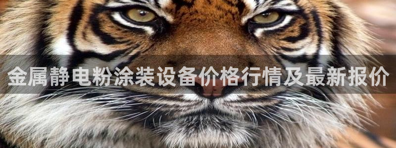 美高梅国际俱乐部是做什么的
