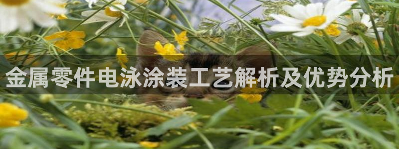 美高梅大酒店创始人