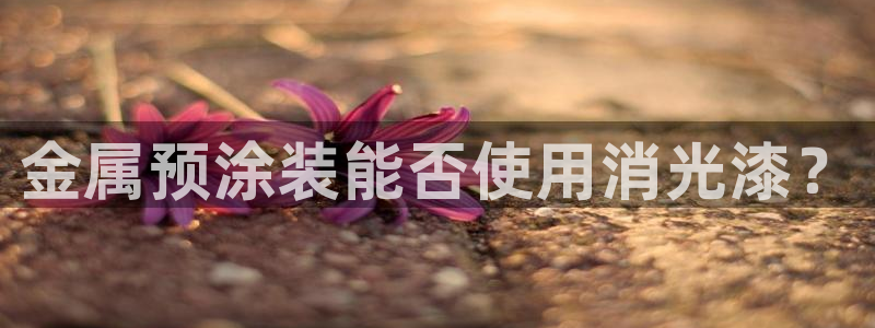 美高梅房价多少