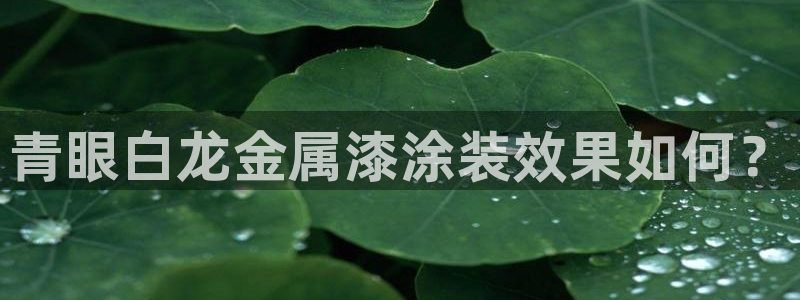 美高梅会员卡颜色区别
