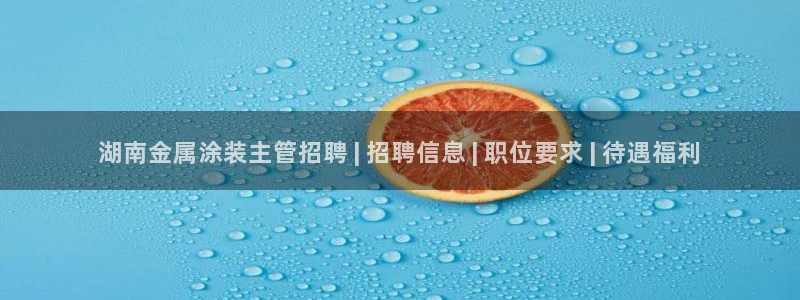 美高梅酒店地址