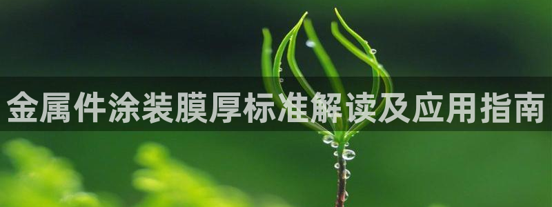 美高梅早餐多少钱