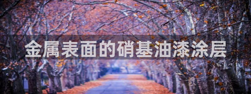 美高梅有什么好吃的
