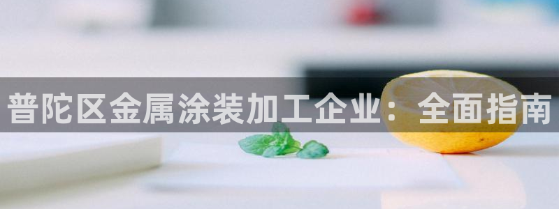 美狮美高梅酒店设计师