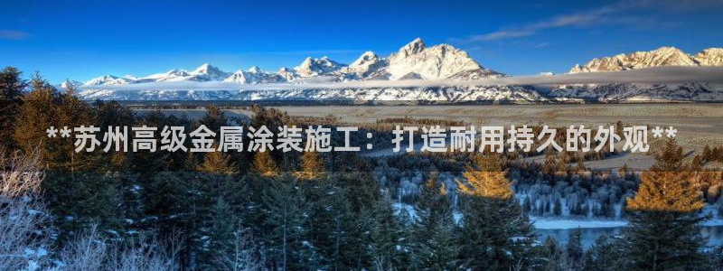 美高梅投资是真的吗