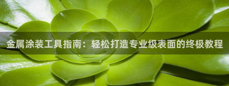 美高梅投资是真的吗