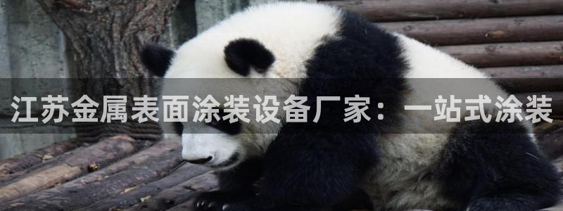 美高梅酒店分布