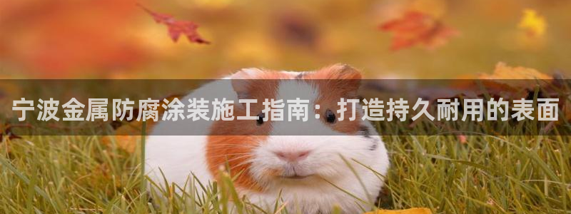 美狮美高梅酒店房间好订吗