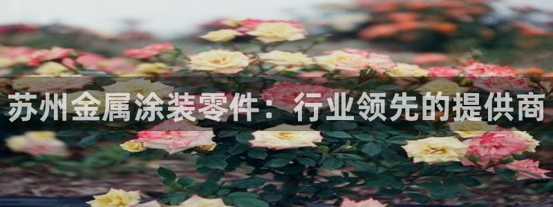 美高梅酒店洗漱用品