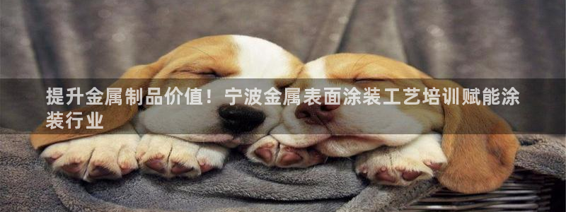 美高梅mgm信誉第一