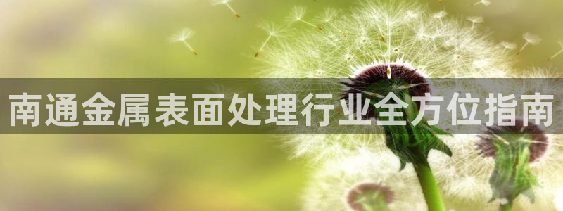 美高梅全球限量100张